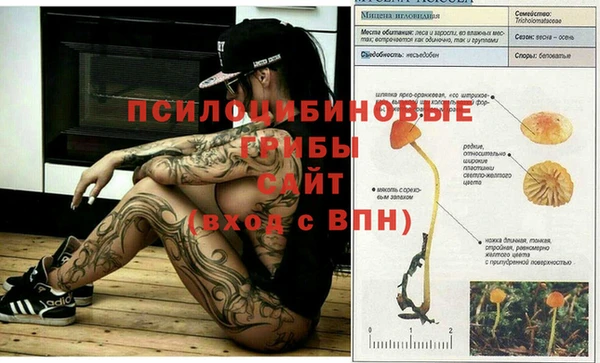 кокаин премиум Лиски