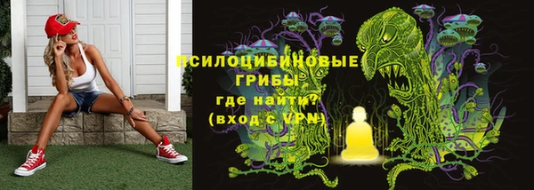 хмурый Лагань